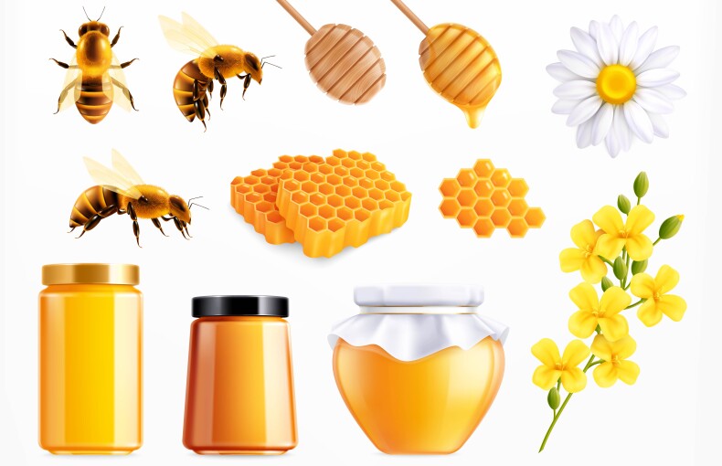 How to Spot Fake Honey vs. Real Organic Honey