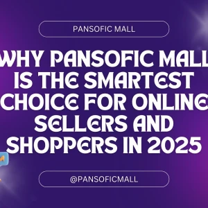 Why Pansofic Mall is the Future of Online Shopping in India