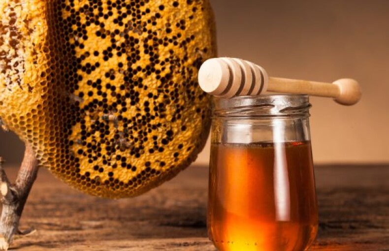 From Farm to Jar – How Pansofic Mall India Delivers Pure Sunflower Honey to You